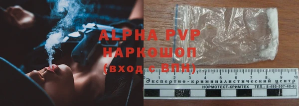 прущие грибы Волоколамск