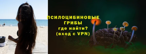 ГАЛЛЮЦИНОГЕННЫЕ ГРИБЫ Верхний Тагил