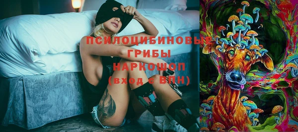 ГАЛЛЮЦИНОГЕННЫЕ ГРИБЫ Верхний Тагил