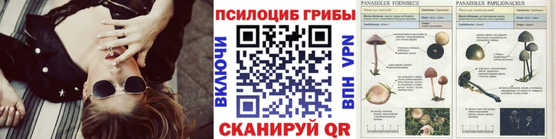 Купить  Сочи  Галлюциногенные грибы Cubensis 